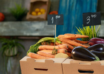 USD 11 Trillion bill in food system’s hidden costs, a significant underestimation