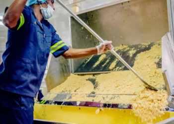 MoFPI boosts millet-based products and supports micro & large food processors