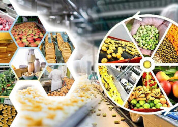 MoFPI boosts millet-based products and supports micro & large food processors