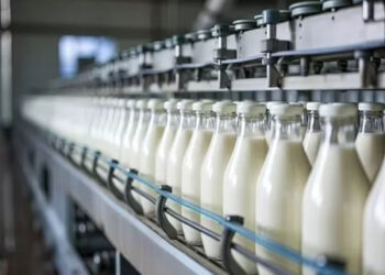 Milkfood to sell Moradabad plant land to Bareilly Dairies for Rs 130 crore