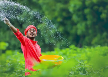 Ban advertising of ultra-processed foods from 6 am-11 pm: Eco Survey