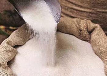 GI-Tagged Makhana exported by Sea for Ist time in shipment to Dubai