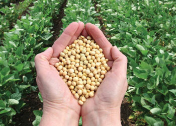 Apax Partners to buy minority stake in iD Fresh Food