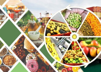 SLMG Beverages crosses ₹8,000 crore mark in 2025, eyes for ₹10,000 crore revenue milestone in 2026