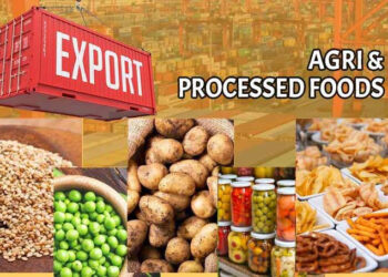 Domino’s beats US sales estimates as deals attract budget-conscious customers