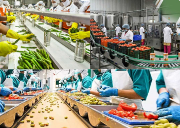 Employment generation and food processing capacity created under PLISFPI