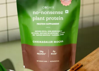 Employment generation and food processing capacity created under PLISFPI