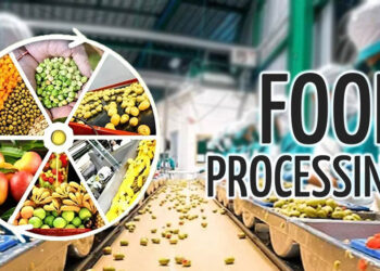 India targets to double food processing capacity in next 6-7 years: Official