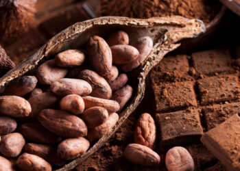 Barry Callebaut maps post-crisis growth in chocolate confectionery trends report