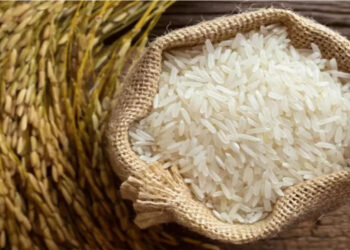 India strengthens global food security: FCI signs five-year rice supply agreement with world food programme