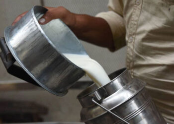 Milk output rises 70pc in last 11 yrs, India to be free from FMD in 3yrs: Govt in RS