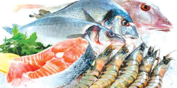 Apis India eyes 15 pc CAGR growth in mid-term, enters snacking segment