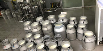 ofi launches TrendBites: Six trends to watch in how Asia will snack, drink and eat in 2026