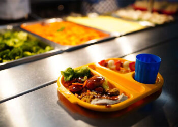 New school food standards: what parents need to know