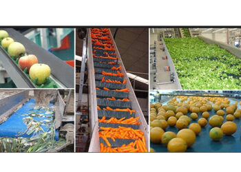 Fruit, vegetable processing unit to come up in Punjab’s Chabbewal