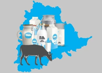 Telangana CM discusses measures to boost dairy sector