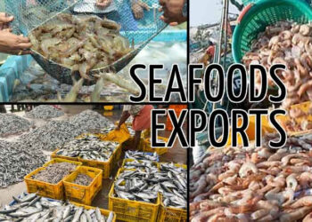 Seafood exports hit all time high of ₹72,000 Cr