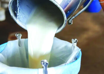Telangana CM discusses measures to boost dairy sector