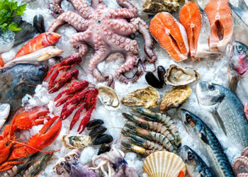 India got EU market opened for seafood through active talks amid US tariff challenge: Goyal