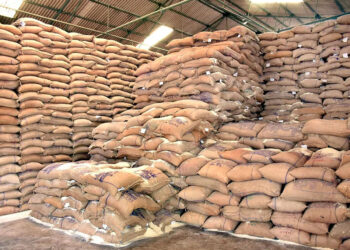 Govt’s foodgrain stocks hit 604 lakh tonnes, nearly three times buffer requirement