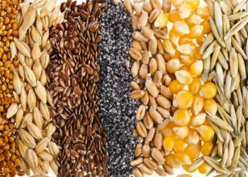HyFun Foods ties up with Adani Logistics, Evergreen Marine Corp for eco-friendly export corridor