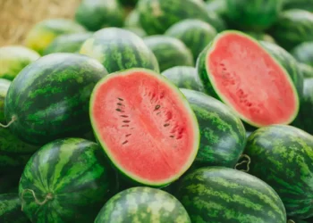 Food safety dept conducts drive to check quality of watermelons in Chandigarh