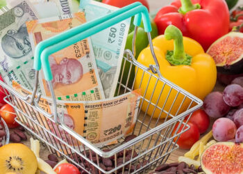 WPI inflation rises to 9.68 pc in May as fuel, food, manufactured items see price spike