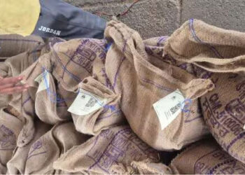 QR tags on grain bags: Centre to scale up pilot to track FCI foodgrains, curb recycling