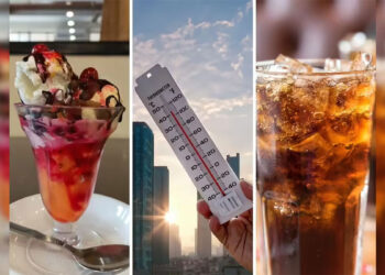 Cooling products see mixed demand in June qtr; AC sales slump, beverages, ice cream stay resilient
