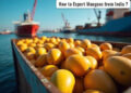 APEDA facilitates first commercial export of GI-tagged Rewa Sundarja mangoes from MP to UAE