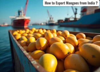 APEDA facilitates first commercial export of GI-tagged Rewa Sundarja mangoes from MP to UAE