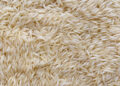 Prinova to share expertise on clear protein innovation at IFT FIRST