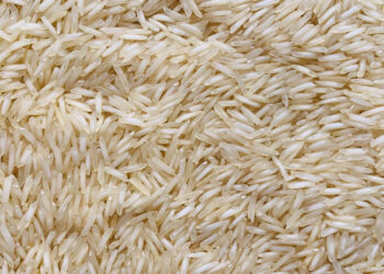 Prinova to share expertise on clear protein innovation at IFT FIRST