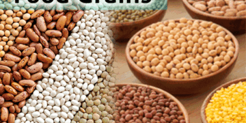 Food grain production in country has increased by 71 per cent over past 12 years: Chouhan