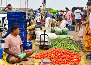 WPI inflation rises to 9.87 pc in June; minerals, food items see price spike