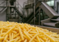 APEDA facilitates Ist export of 24 tonnes frozen french fries from UK to Iraq