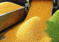 India aims for FMD-free status in nine states within two years, eyes Europe’s dairy market