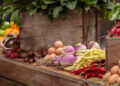 KFDC set to launch ‘seafood at doorsteps’ e-commerce platform
