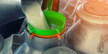 Uttarakhand bans manufacture, sale of substandard dairy products