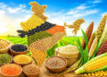 Indian, agri, processed food sectors to get export boost from UK trade pact: Experts