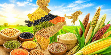 Indian, agri, processed food sectors to get export boost from UK trade pact: Experts