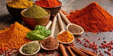 Himachal govt bans sale of non-dairy paneer