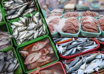 India eyes 30 million tonnes fish output in 5 years, seafood exports of Rs 1.25 lakh crore