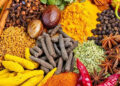 Bluegrass Ingredients highlights dairy seasoning blends for flavor innovation and formulation flexibility