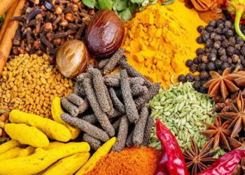Bluegrass Ingredients highlights dairy seasoning blends for flavor innovation and formulation flexibility